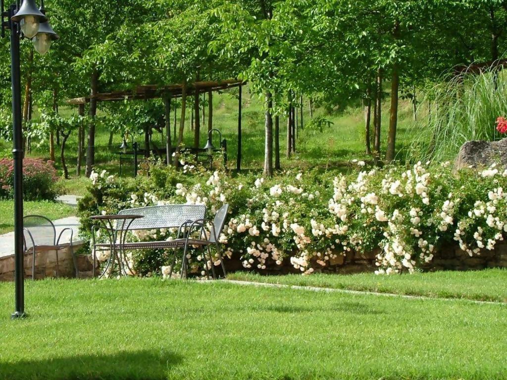 Agriturismo Podere La Casaccia بوبّي المظهر الخارجي الصورة
